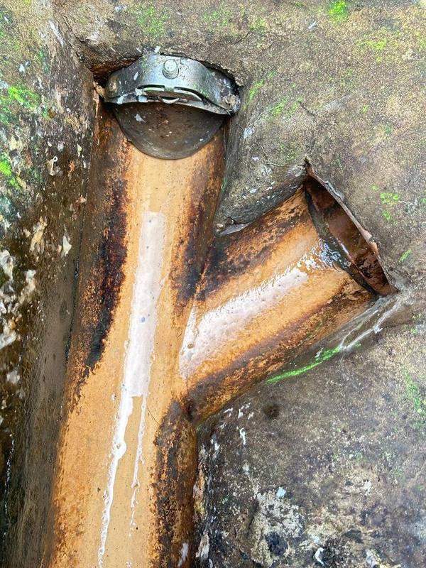 Rat gate fitted in a drain